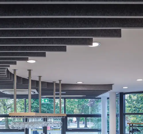 Moisture & Mold Resistant False Ceiling